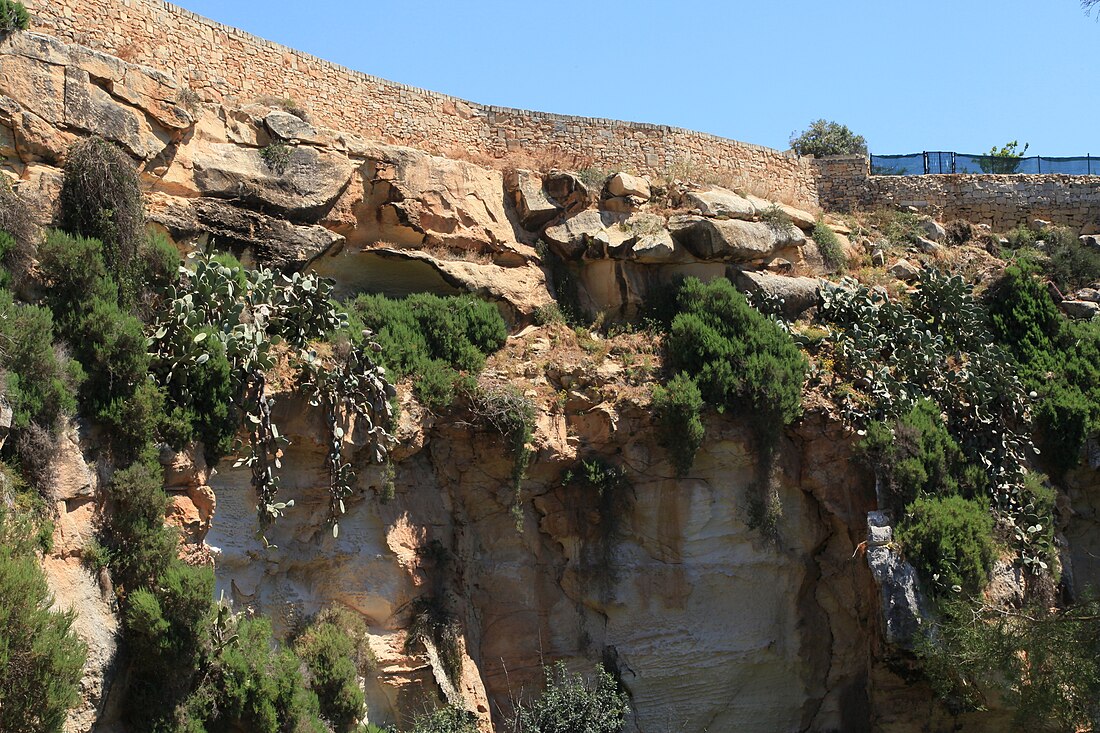 Maqluba (Malta)