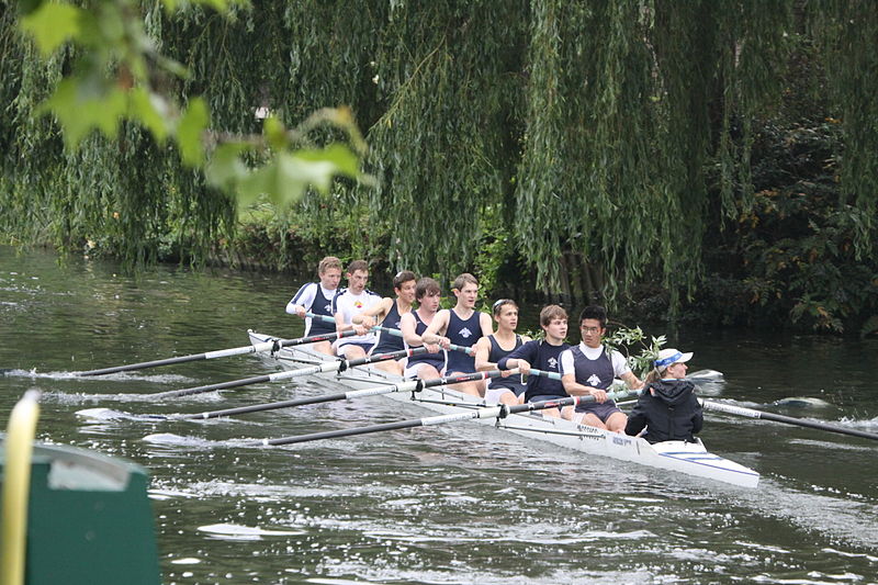 File:May Bumps IMG 9049 (4721030310).jpg