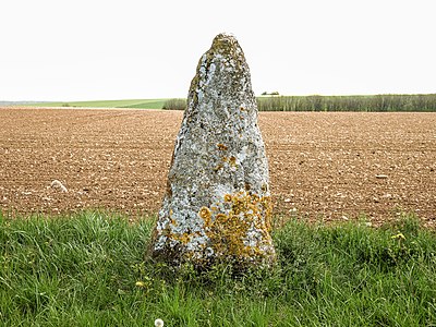 Menhir de Pierre Fiche