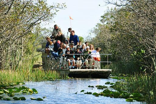 Miami everglades airboat tourism