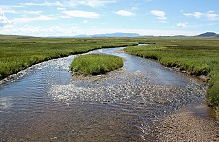 Middle Fork South Platte River river in the United States of America