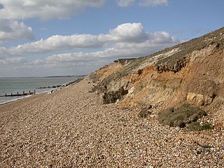 Brickearth soil type