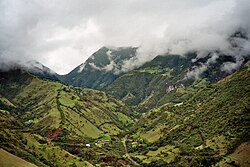 Cloud forest dekat Mindo