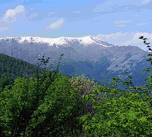 Monte Soglio