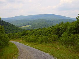 Mountain Road 5.jpg 