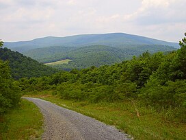 Estrada da montanha 5.jpg