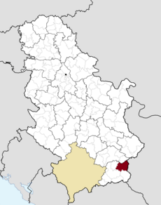 Location of Ivanjica in Serbia Municipalities of Serbia Surdulica.png