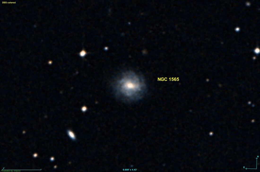 NGC 1565