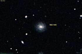 NGC 1565 DSS.jpg