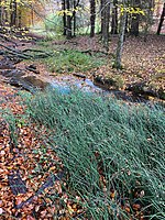 Stödterbachtal und Nebenbäche