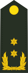 Netherlands-Army-OF-7.svg
