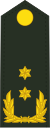 Paesi Bassi-Esercito-OF-7.svg