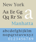 Thumbnail for New York (1983 typeface)