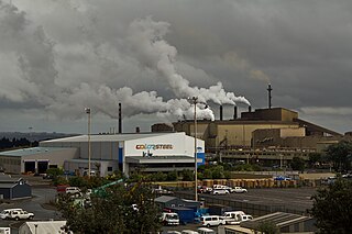 <span class="mw-page-title-main">New Zealand Steel</span> Steel mill in Glenbrook, New Zealand