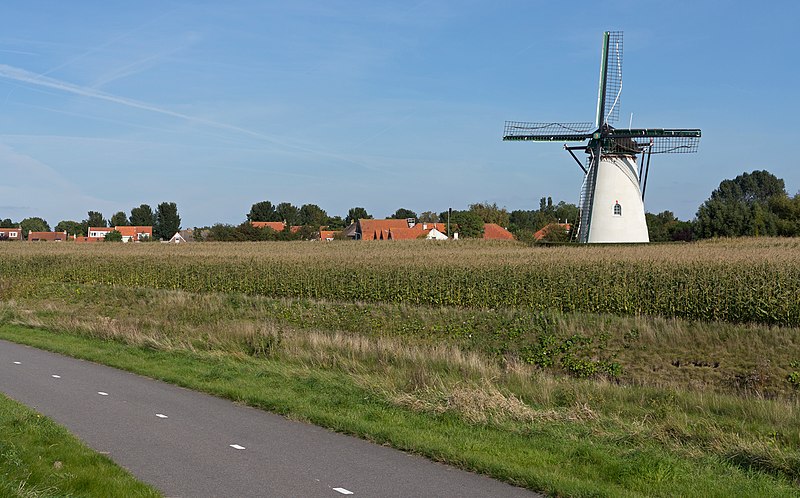 File:Nieuw- en Sint Joosland, korenmolen Buiten Verwachting RM29733 foto4 2015-0929 16.06.jpg