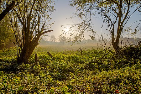 Nature reserve Ichterloh, Nordkirchen, North Rhine-Westphalia, Germany