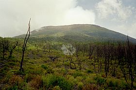 Долина вулкана Ньирагонго