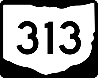 <span class="mw-page-title-main">Ohio State Route 313</span> State highway in southeastern Ohio, US