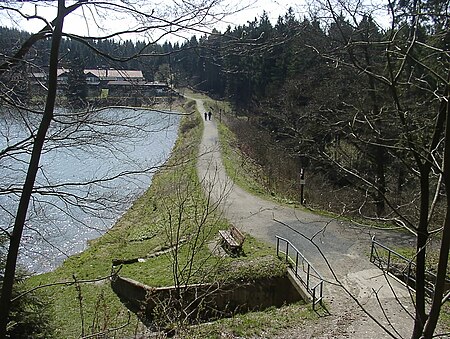 Oberer Grumbacher Teich, Damm