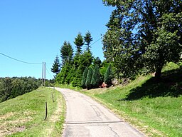 Oberharmersbach, Hermersberg 8