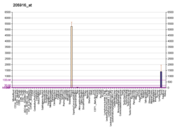 PBB GE S100A7 205916 в формате fs.png