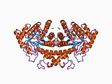 PDB 1b57 EBI.jpg