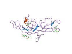 PDB 1hrp EBI.jpg