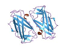 PDB 1ktj EBI.jpg