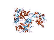 PDB 1nbf EBI.jpg