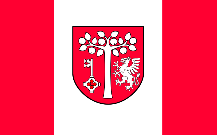 File:POL gmina Jodłownik flag.svg