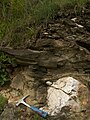 Transgression of Paleogene over Wetterstein Limestones