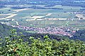 * Nomination Orschwiller from Haut-Kœnigsbourg castle (Bas-Rhin, France). --Gzen92 07:14, 28 July 2020 (UTC) * Decline  Oppose The idea of the composition is interesting, but totally blurred twigs on the foreground, from the left side of the picture, where these twigs are especially numerous, to the right side, completely ruin the photograph. Reprocessing is impossible. Unfortunately, not a QI. --Dmitry Ivanov 21:11, 4 August 2020 (UTC)