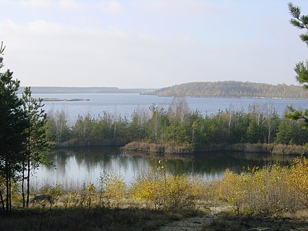 PartwitzerSee Seeblick