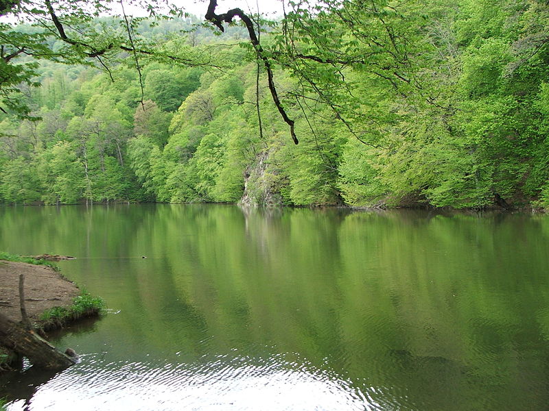 File:Parz Lake in Dilijan.jpg