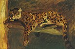Sleeping Jaguar, de [Paul Klimsch]