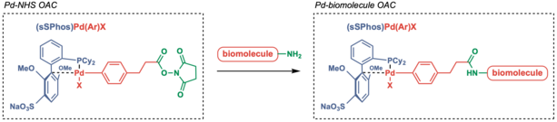 Pd-biomolecule OAC 2.png