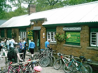 Mountain biking in the United Kingdom