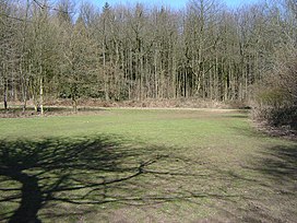 Piknik di Chawton Taman Hutan - geograph.org.inggris - 148394.jpg
