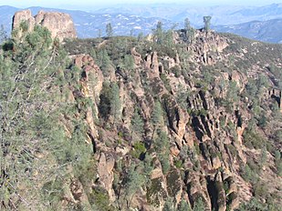 Forest, Pinnacles National Monument