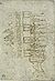 Pisanello - Codex Vallardi 2276 r.jpg