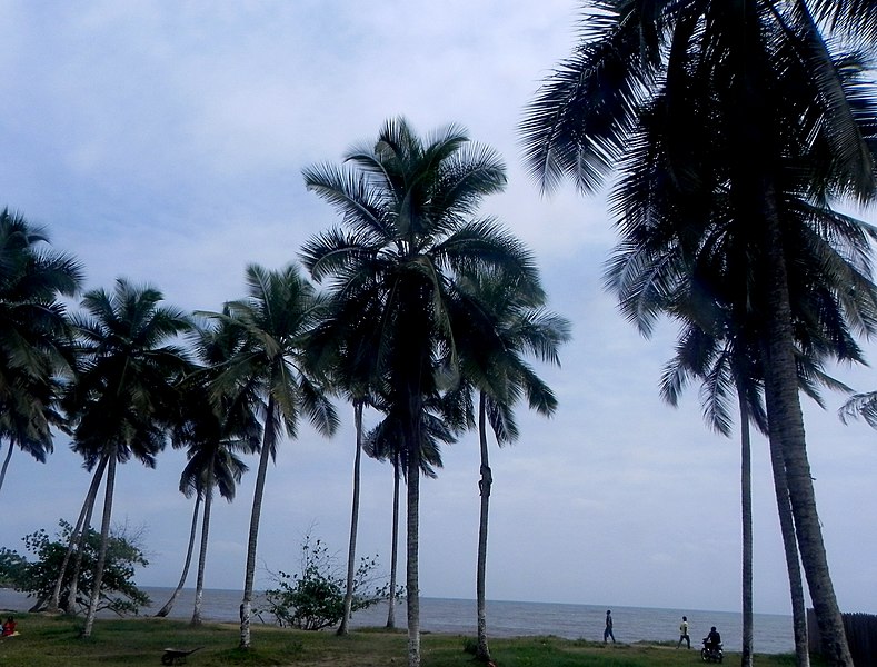 File:Plage Kribi38.jpg