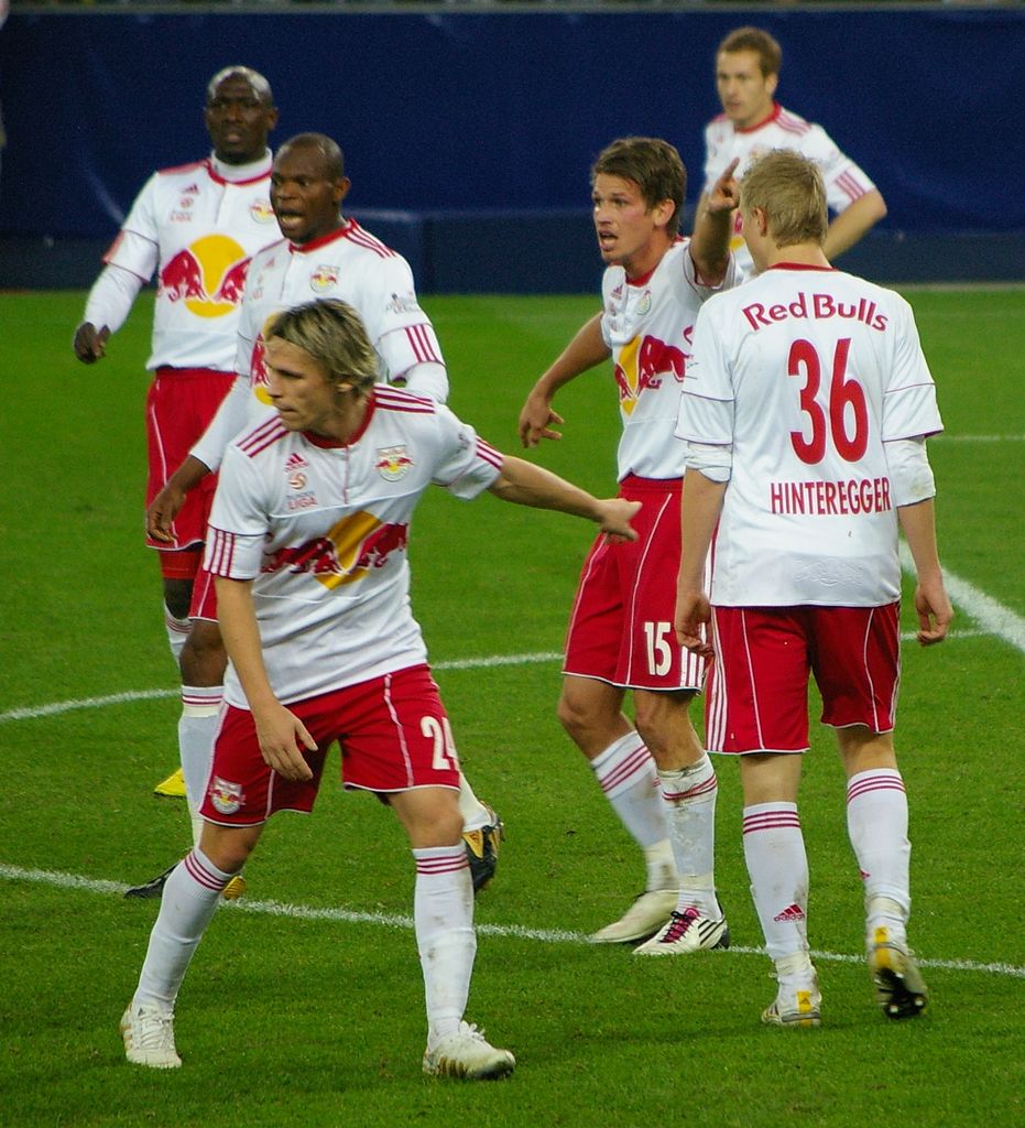 virkelighed Alfabetisk orden badning File:Players of Red Bull Salzburg 2010-11.JPG - Wikimedia Commons