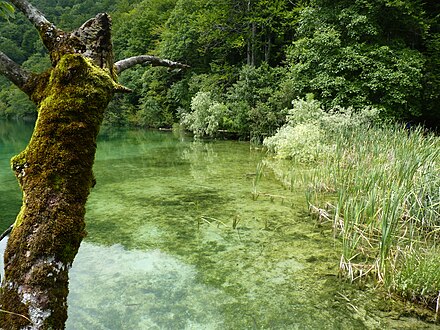 Galovac Lake