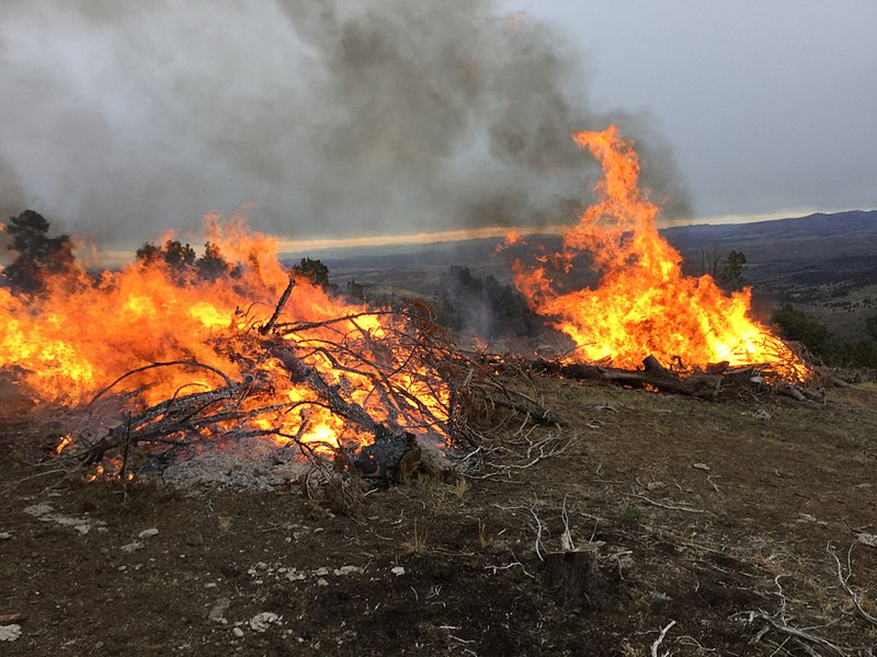 800px-Prescribed_burning_during_eastern_