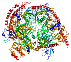 Protein EXOSC4 PDB 2nn6.png