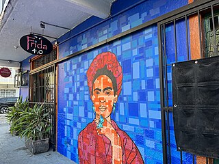 <span class="mw-page-title-main">Bar Frida</span> Gay bar in Puerto Vallarta, Jalisco, Mexico