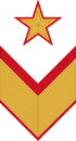 RKKA 1940 chevron OF9 general armii.svg