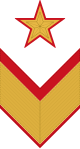 RKKA 1940 chevron OF9 general armii.svg