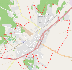 Mapa konturowa Rakoniewic, blisko centrum po lewej na dole znajduje się punkt z opisem „Rakoniewice Wąskotorowe”