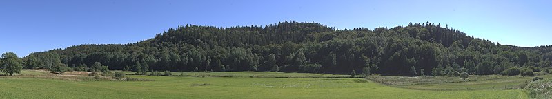 Panorama över Ranebo lund (själva skogen).